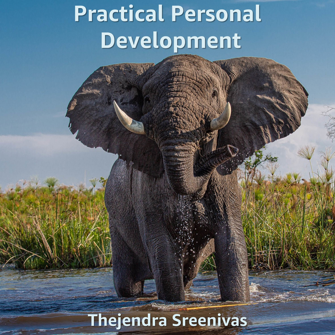 Practical Personal Development