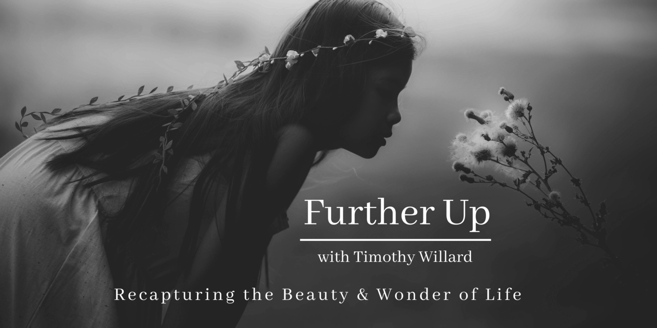 Further Up with Timothy Willard