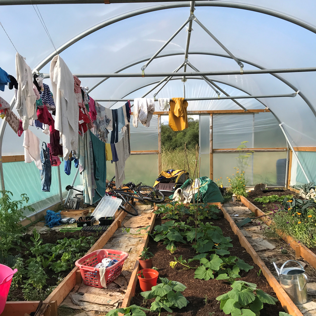 Land Food Nexus