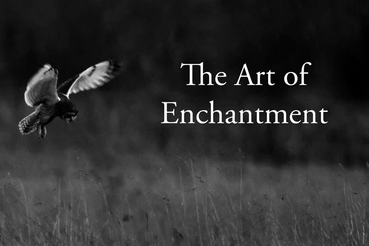 The Art of Enchantment, with Dr Sharon Blackie