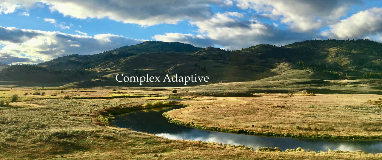Complex Adaptive