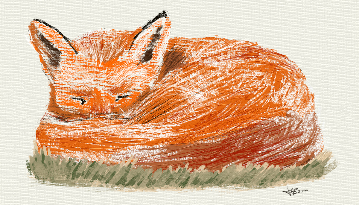 The Sleepy Fox
