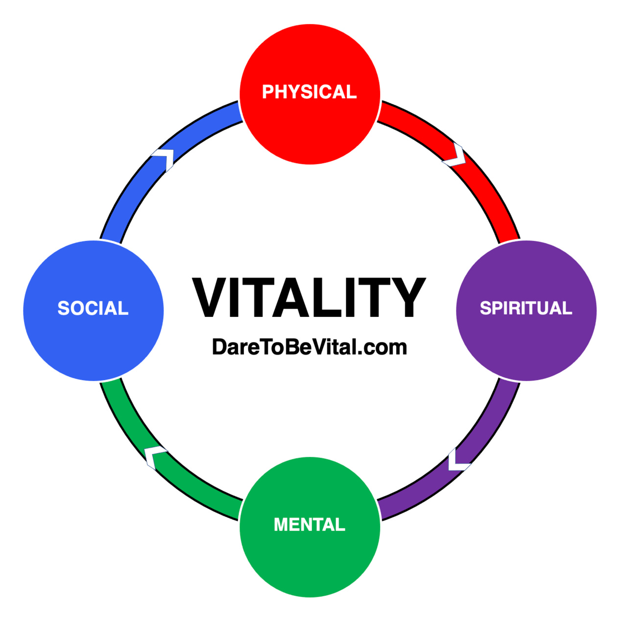 Vitality Explorers | Allan Mishra, MD