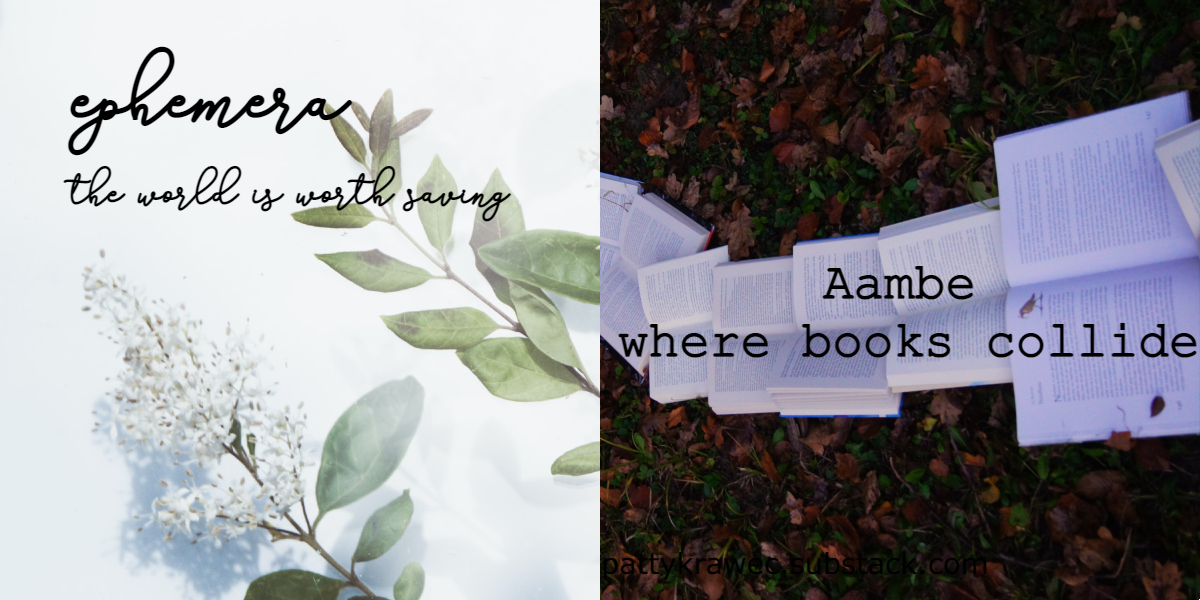 Aambe: where books collide