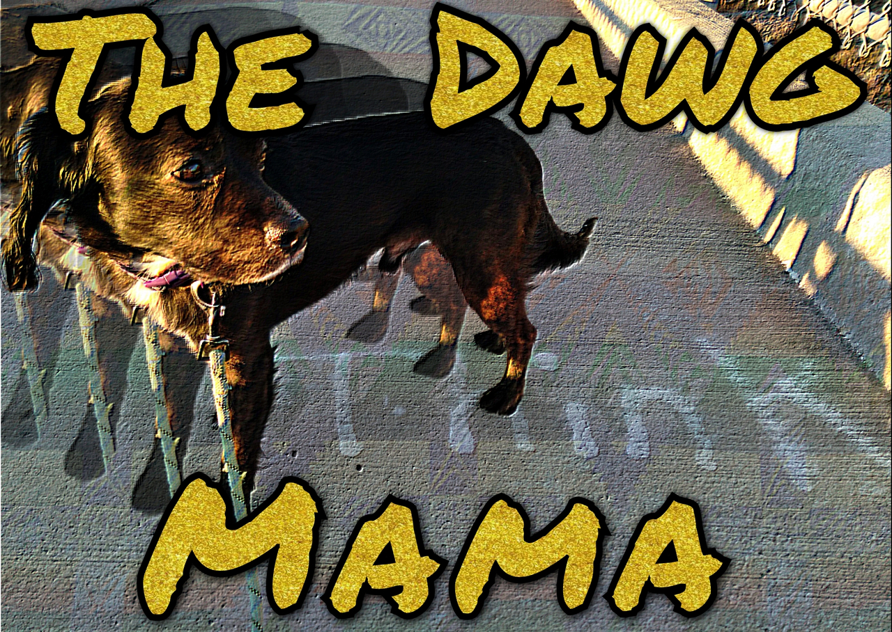 The Dawg Mama