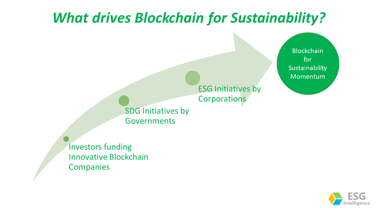 Blockchain for Sustainability
