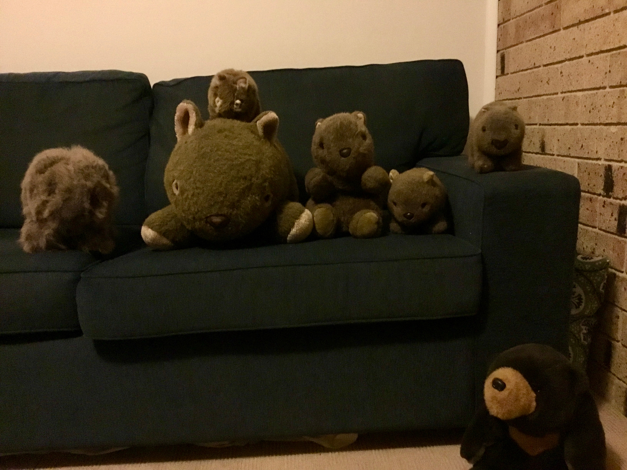 Down the Wombat Hole