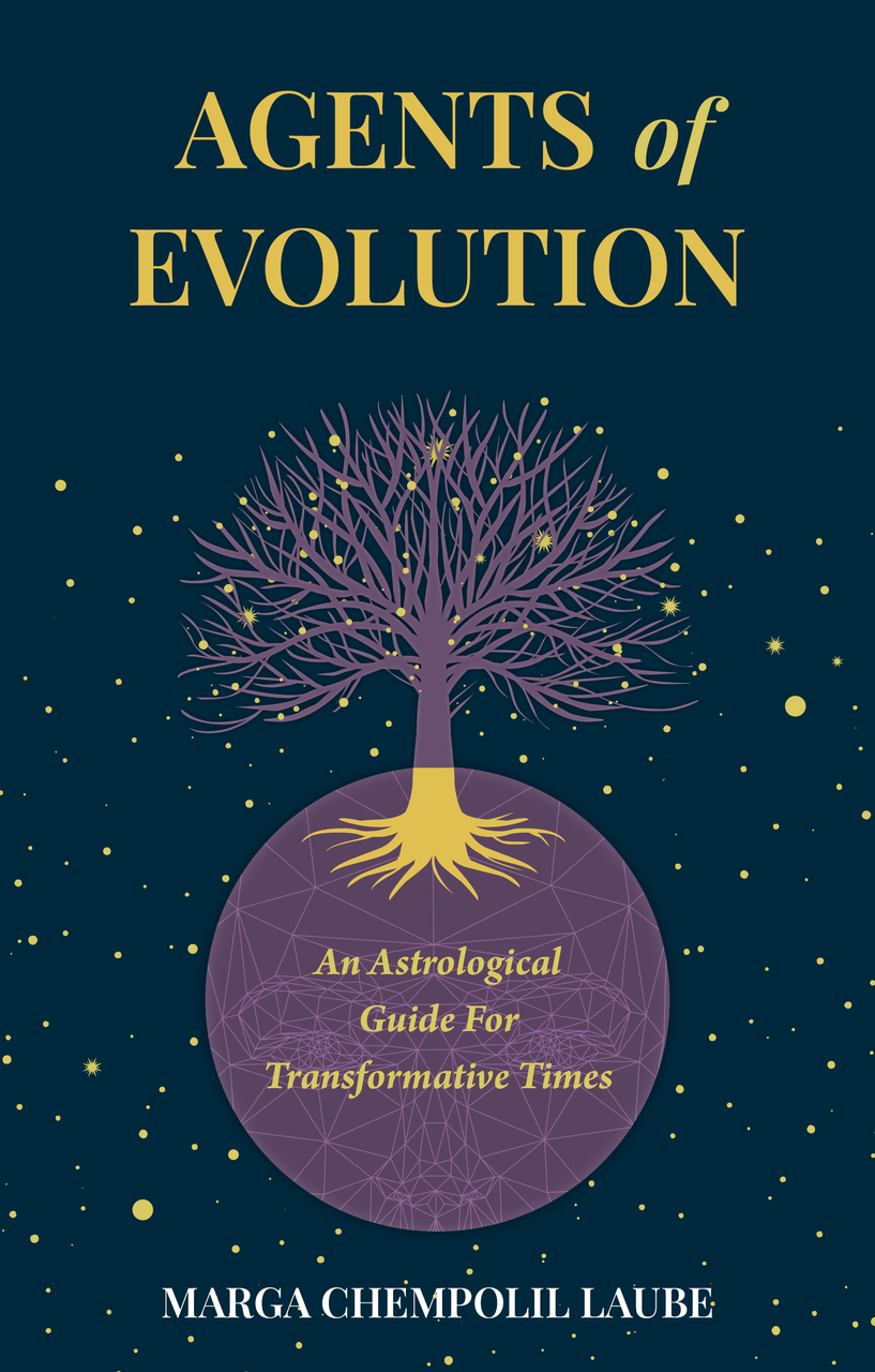 Agents of Evolution Journal