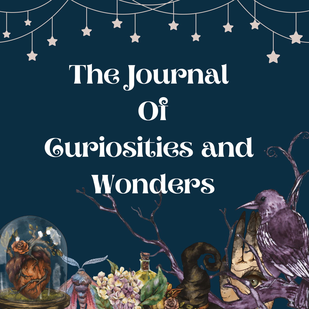 A Journal of Wonders and Curiosities