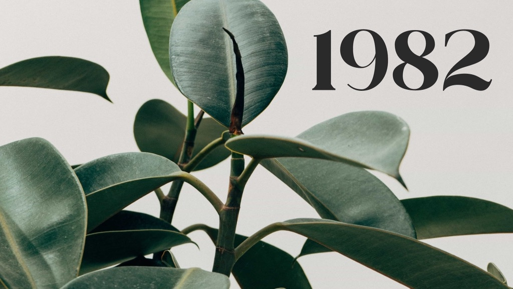 1982