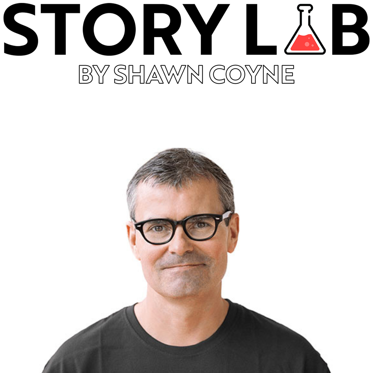 STORY LAB by Shawn Coyne
