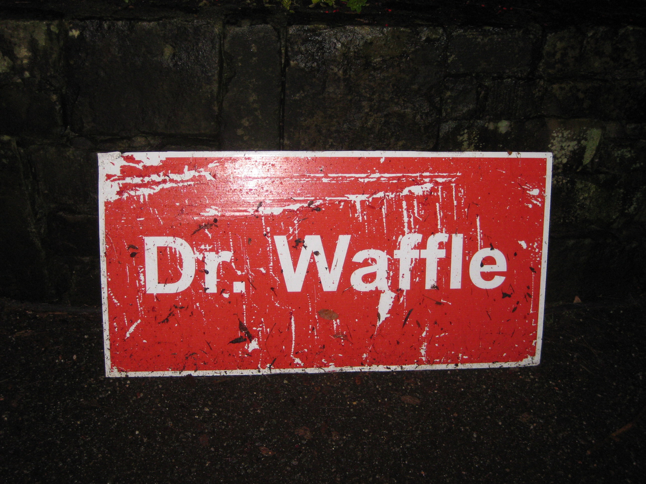 Doctor Waffle
