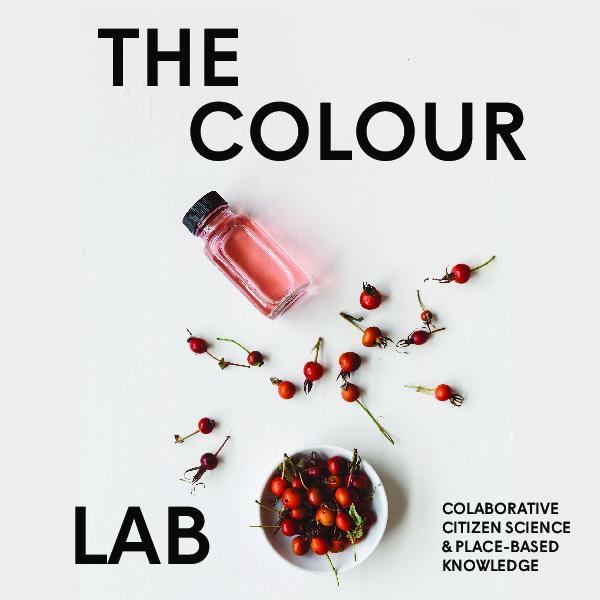 The Colour | Newsletter | Lab | Community