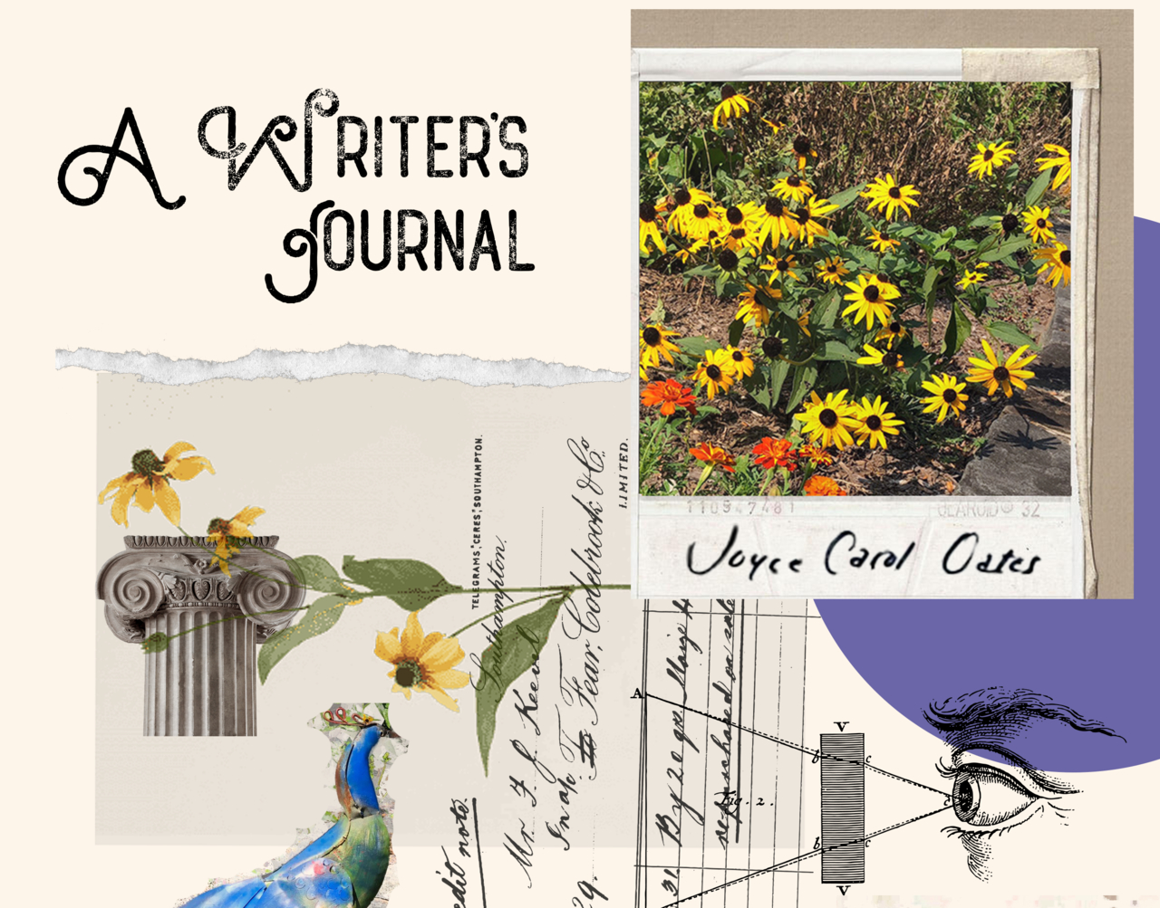 Joyce Carol Oates: A Writer's Journal 
