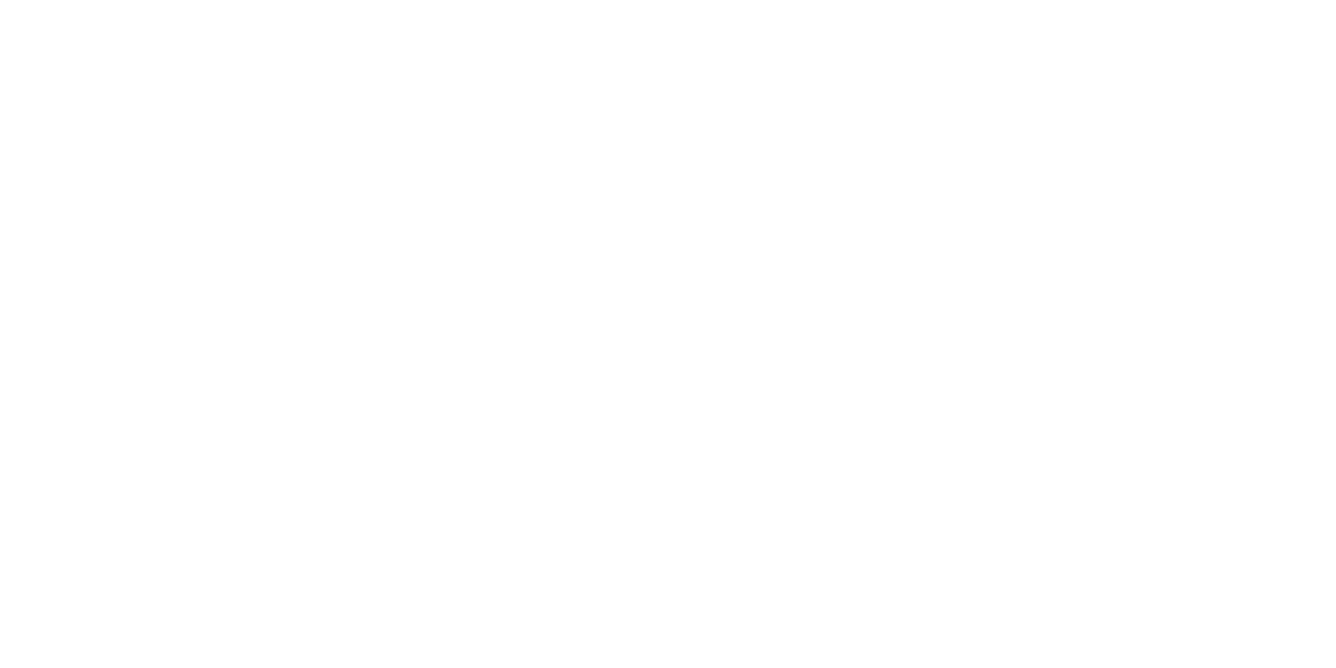 The Airline Observer