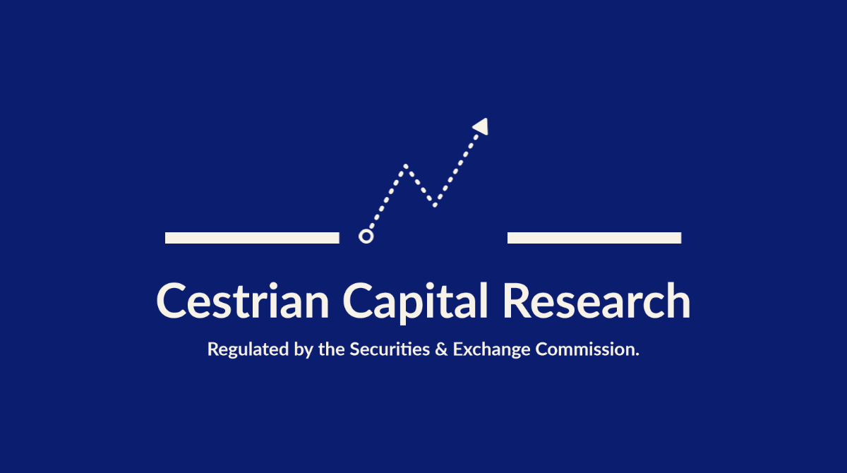 The Metaverse Investor