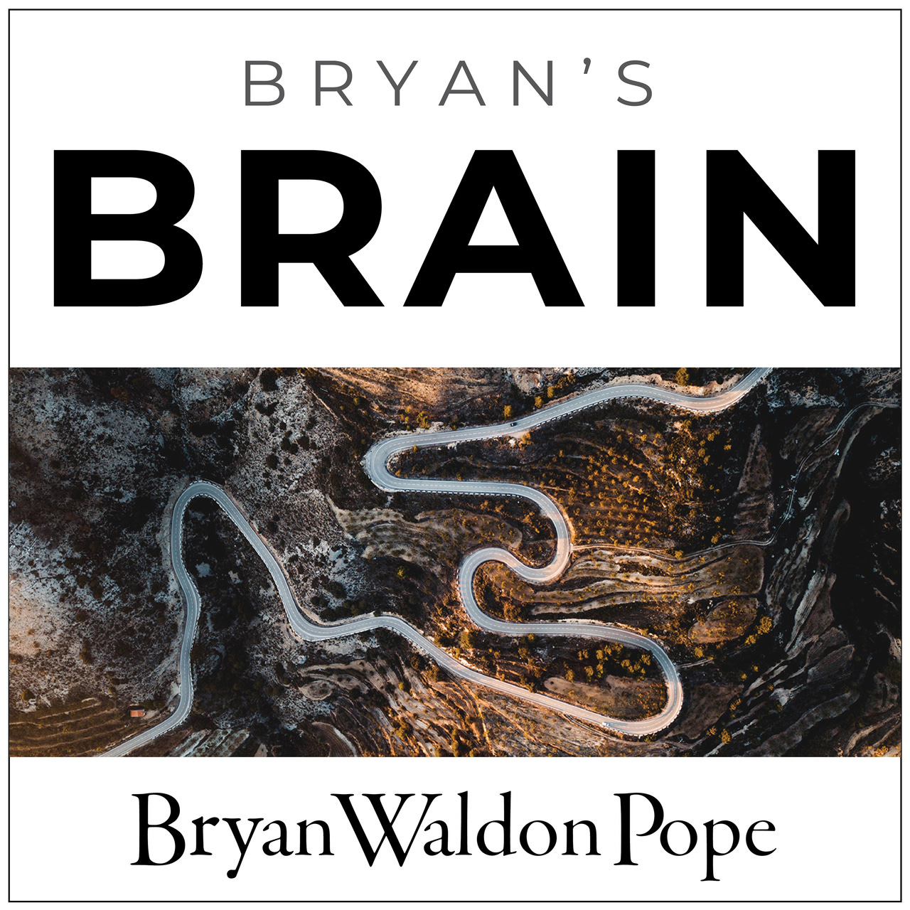 Bryan's Brain