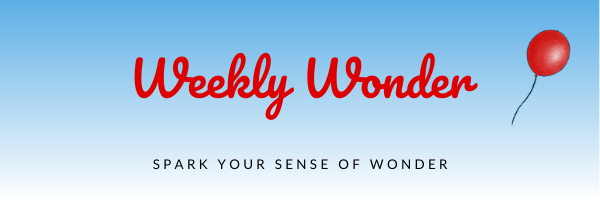 Weekly Wonder
