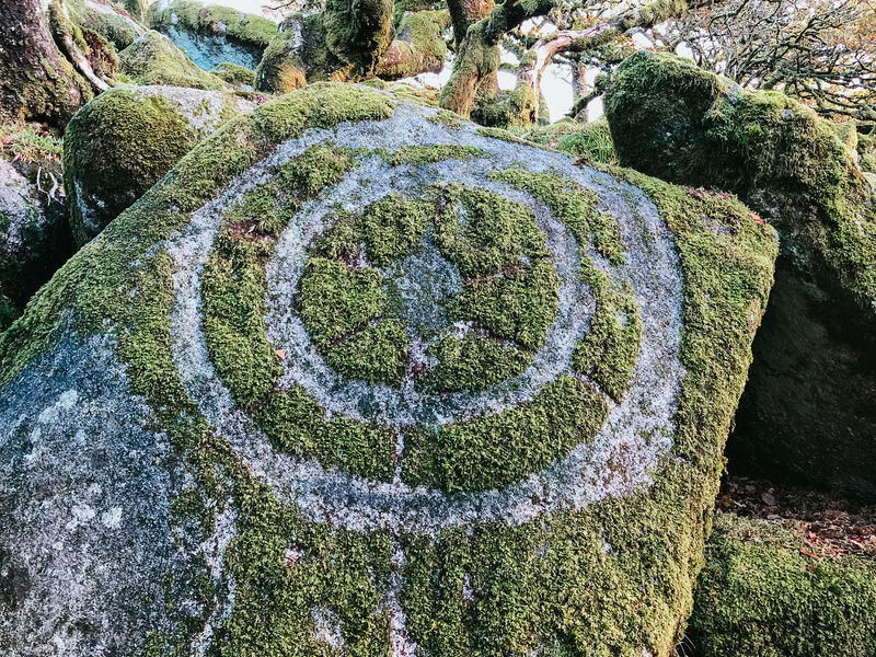 Circle School with Mitlé