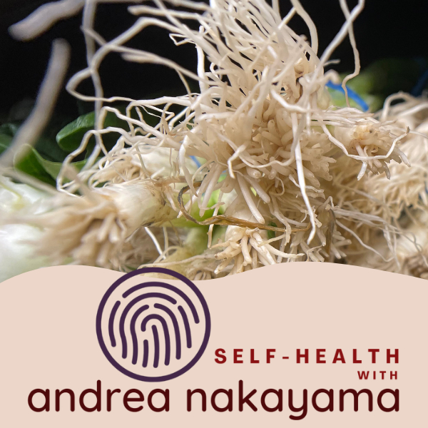 Self Health with Andrea Nakayama