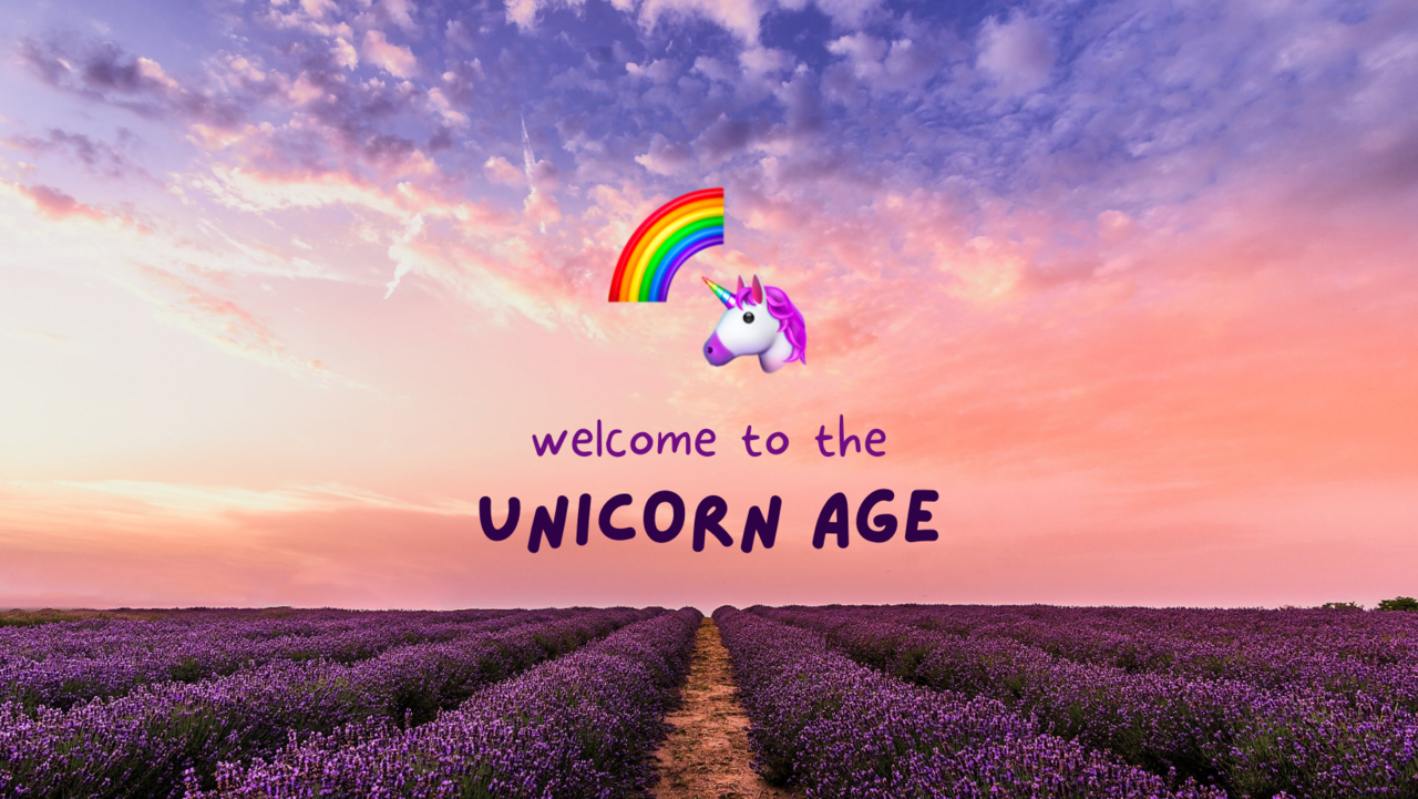 Unicorn Age 🌈 🦄  