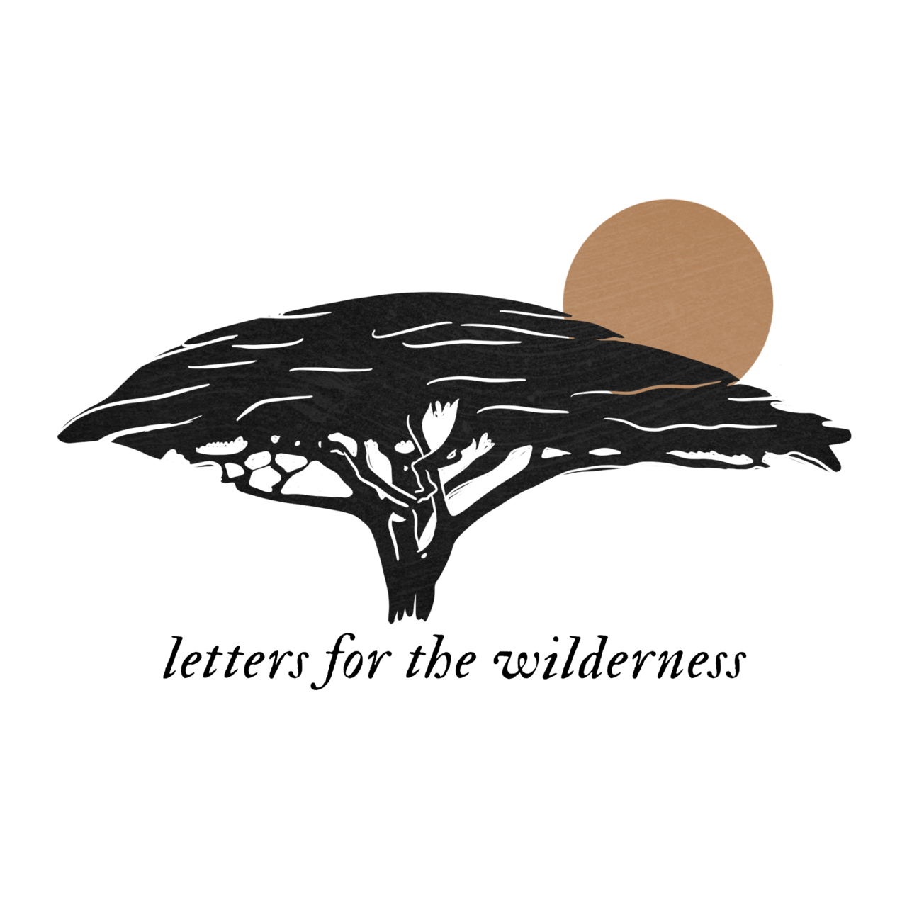 Letters for the Wilderness