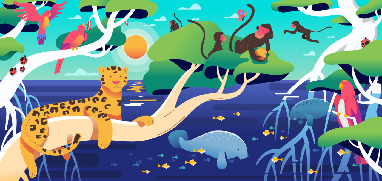 News from Mangrove