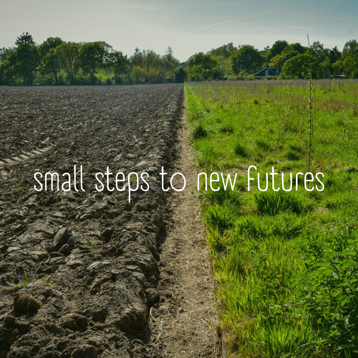 small steps to new futures