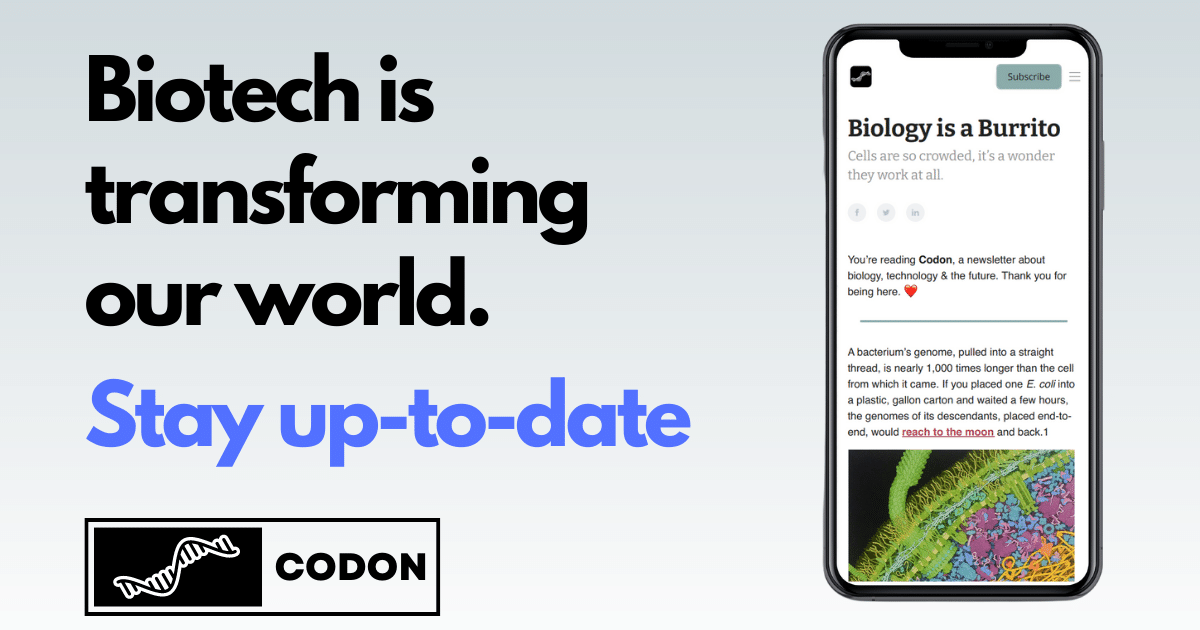 Codon