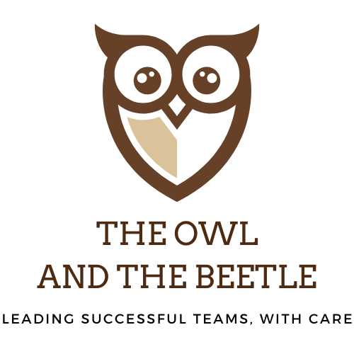 The Owl and The Beetle