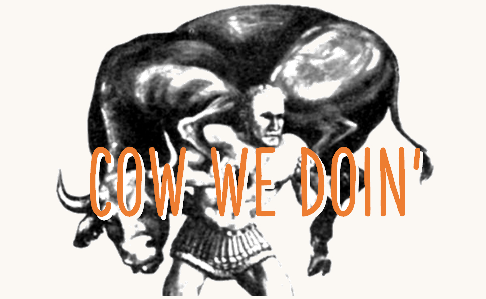 Cow We Doin'