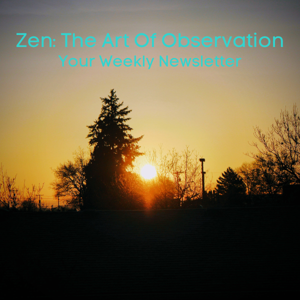 Zen: The Art Of Observation