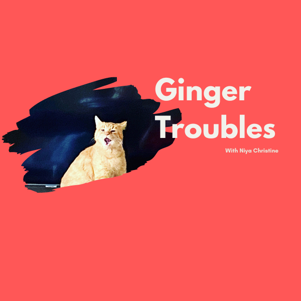 GINGER TROUBLES Reflections of a messy essentialist