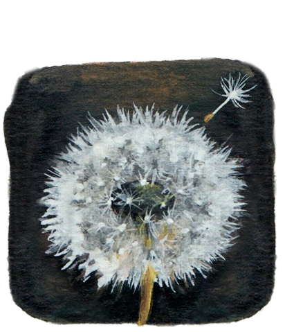 Dandelion Seeds: Illustrated Essays