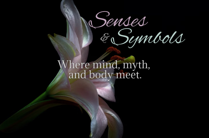 Senses and Symbols with Justice Bartlett 