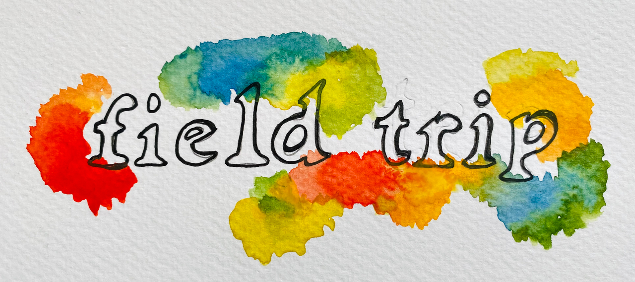 F I E L D T R I P Susannah Felts Substack f-i-e-l-d-t-r-i-p-susannah-felts-substack