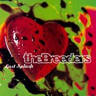The Breeders — Last Splash (1993): un puñado de hits para que Kim Deal pudiese triunfar por fin 