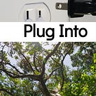 Plug Into