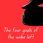 The Four Primary Goals of the Woke Left