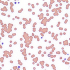 What's the Deal with the Saline "Agglutination" Test?