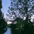 Week 35 (2021)