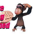 TR 253 - The Real Meaning of Resilience