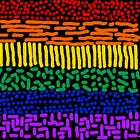 Alliances yes, but NO to LGB, LGBTQXYZ or Queer. 