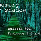 The Memory of My Shadow #01