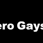 The Zero Gays: First Draft