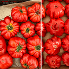 Tomato varieties in a Tuscan market