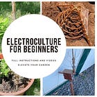 Electroculture Gardening Techniques for Beginners - Elevate your garden