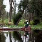 The Chinampas of Xochimilco