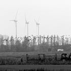 Fossil Fuel Power Plants Kill 35x More Birds Than Wind Turbines
