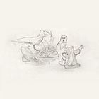 Liner Notes #3: Big Thief - Dragon New Warm Mountain I Believe In You